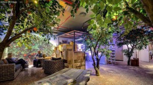 Millennial Magazine - google tel aviv header