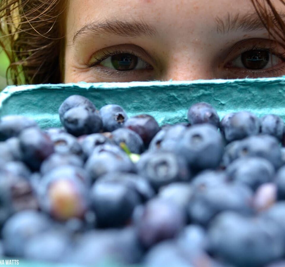 Blueberries are Millennial's pick for fresh fruit of the day.