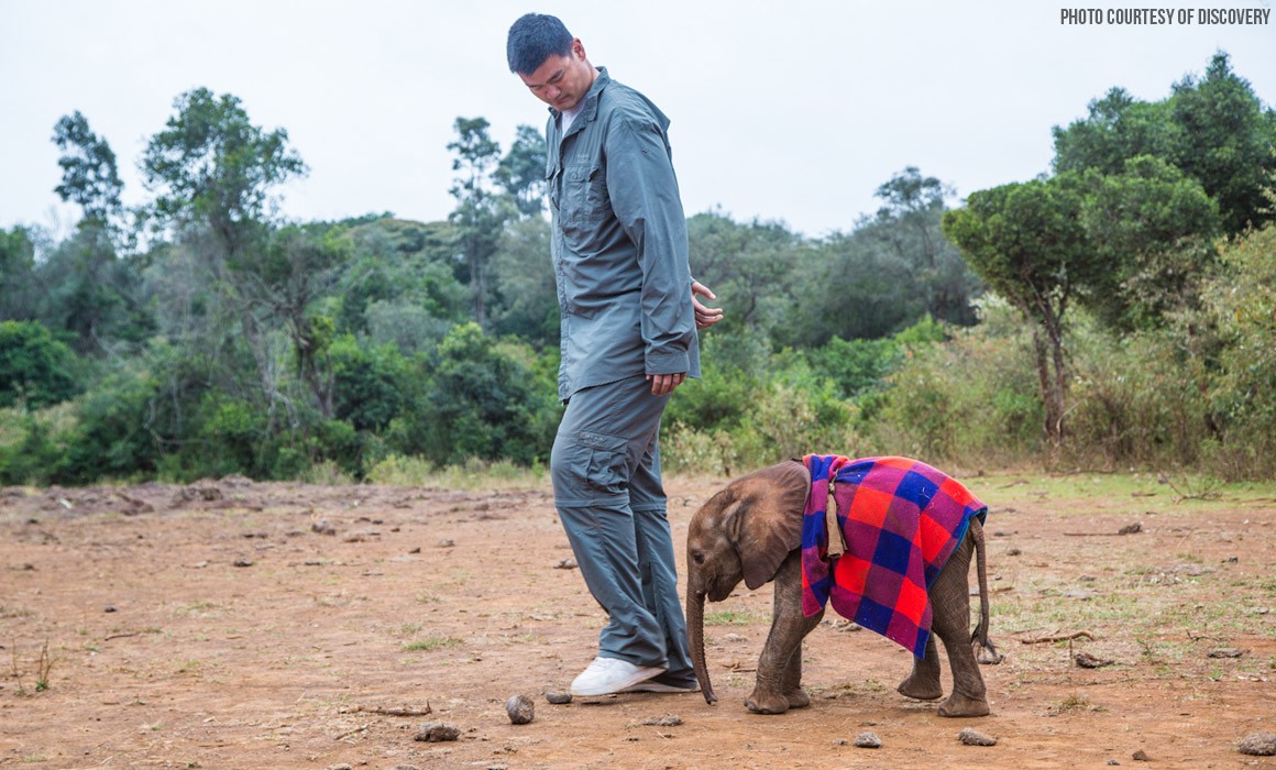 Millennial Magazine- Features- Influencers- Yao Ming- Baby Elephant