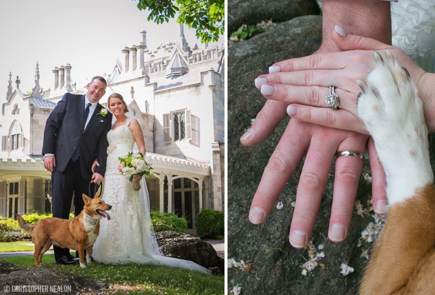 Pets in Weddings- millennials and marriage