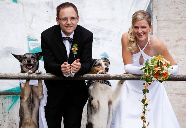 Pets in Weddings- Millennial Magazine