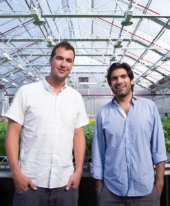Millennial Magazine - Gotham Greens