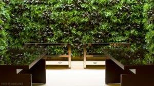 Millennial Magazine- green walls