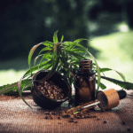 Millennial Magazine- Plant medicines