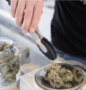 Millennial Magazine - Health - Cannabis at Home