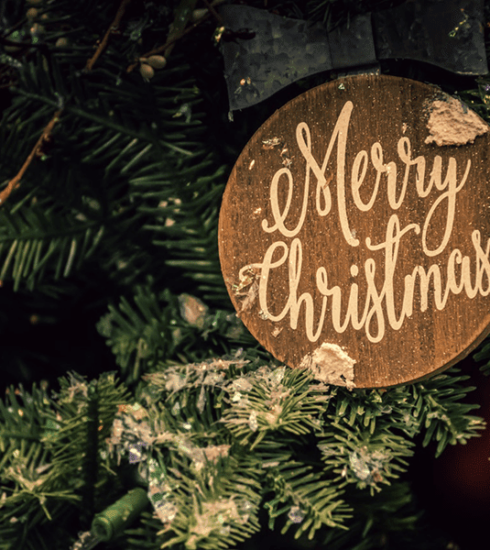 Millennial Magazine - eco-christmas