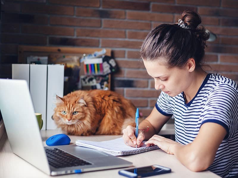 Millennial Magazine - how-to-take-care-of-pets
