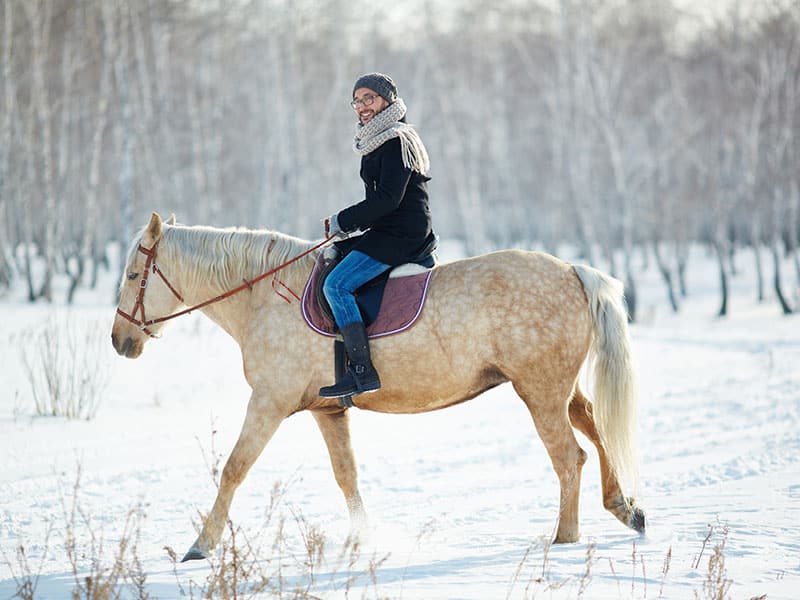 Millennial Magazine - horseback-riding