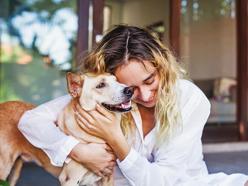 The Incredible Bond Between Humans And Dogs Millennial Magazine