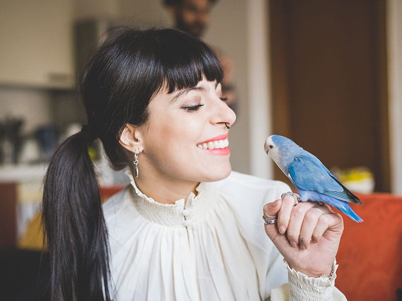 Millennial Magazine - birds as pets