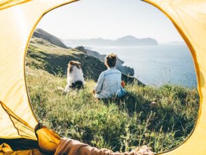 Millennial Magazine - traveling with your pet