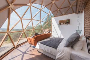 Millennial Magazine - Forest Domes