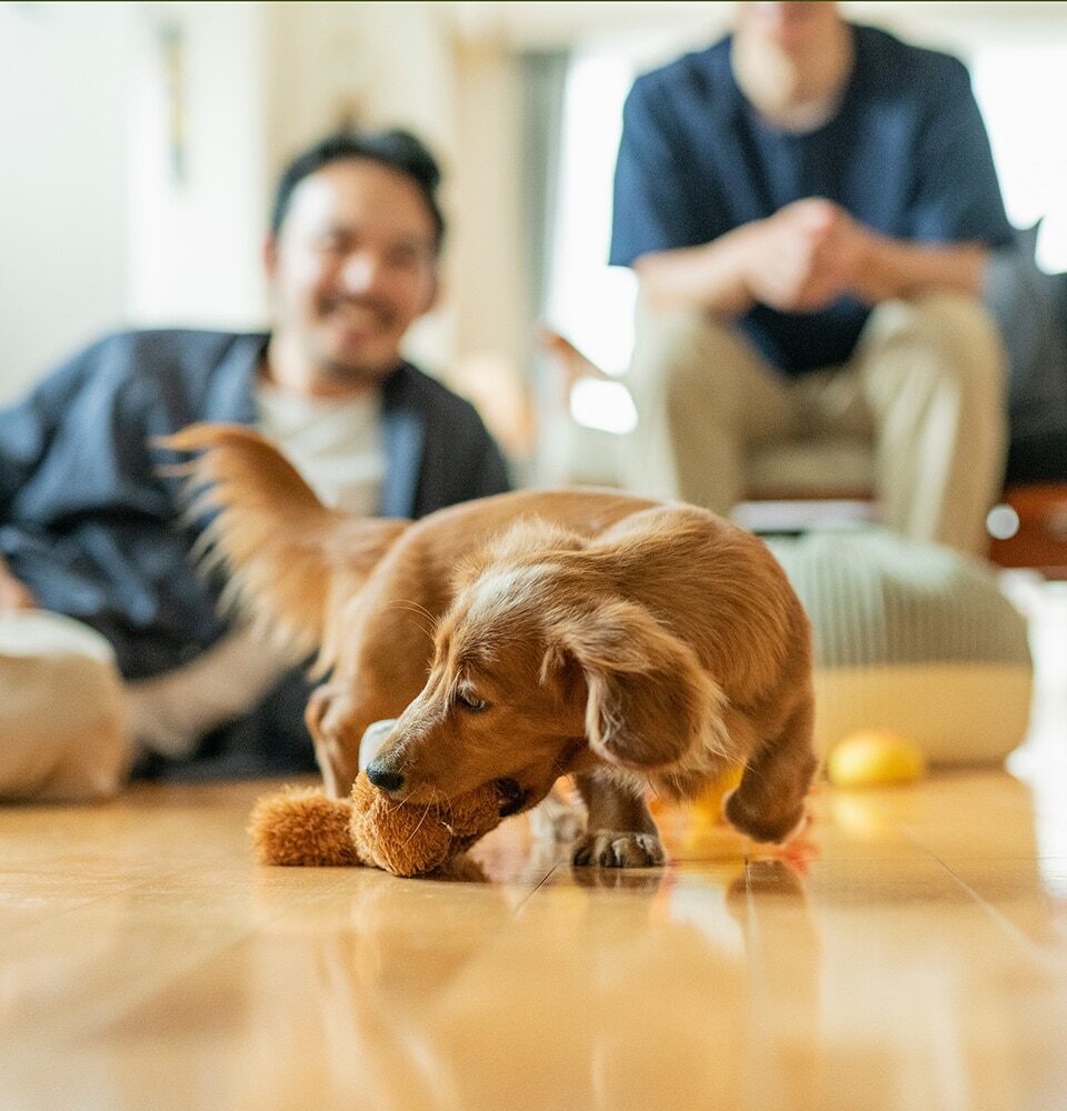 Millennial Magazine- Habitat- Family time- first-time dog owner