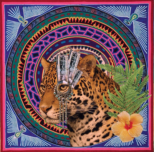 Millennial Magazine - health - spiritual health -  the mapmaker jaguar