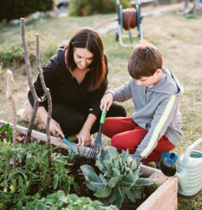 Millennial Magazine- Habitat- House projects- starting your next house project