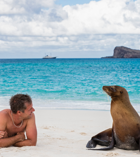 Millennial Magazine - travel - travel tips - things to do in the galapagos islands