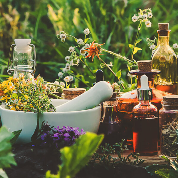 Comprehensive OnlyFans Beginners Guide For Creators Millennial Magazine