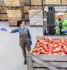 Millennial Magazine - Business - Smart Tech - Grocery Warehouses