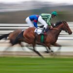 Millennial Magazine - Habitat - Recreational Activities - Horse Racing