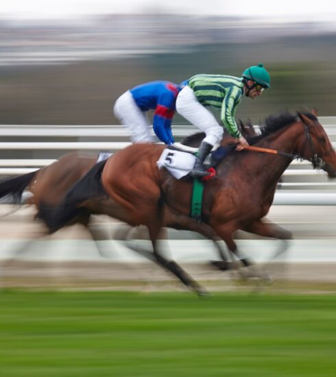 Millennial Magazine - Habitat - Recreational Activities - Horse Racing