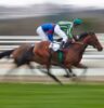 Millennial Magazine - Habitat - Recreational Activities - Horse Racing