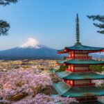 Millennial Magazine - Travel - Destinations - Trip in Japan