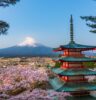 Millennial Magazine - Travel - Destinations - Trip in Japan