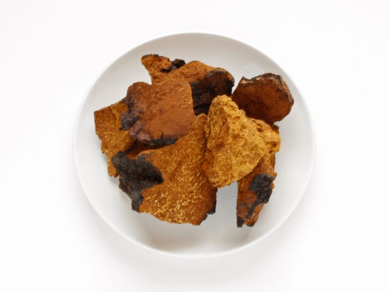 Millennial Magazine - Body - The Powerful Chaga Health Benefits