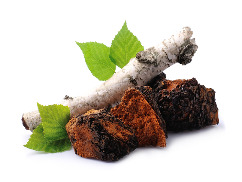 Millennial Magazine - Health - Healthy Eating - Chaga Mushrooms