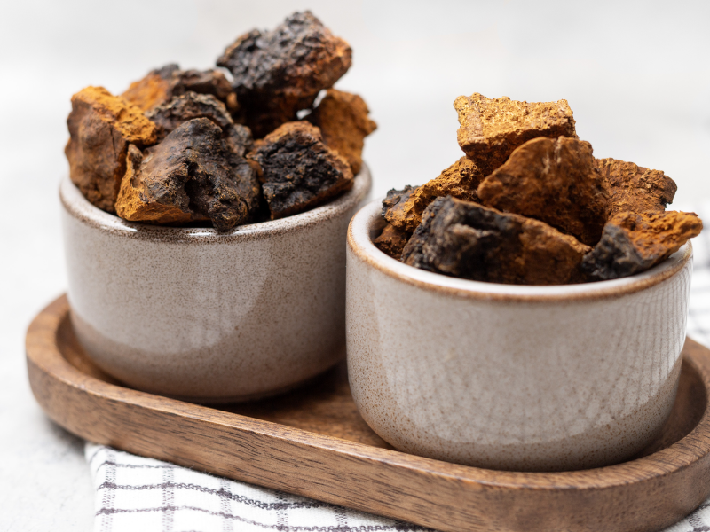 Millennial Magazine - Body - How to Enjoy Chaga Mushrooms