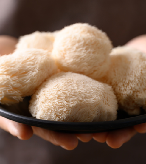 Millennial Magazine - Health - Healthy Eating - Lions Mane Mushrooms - Lions Mane Benefits