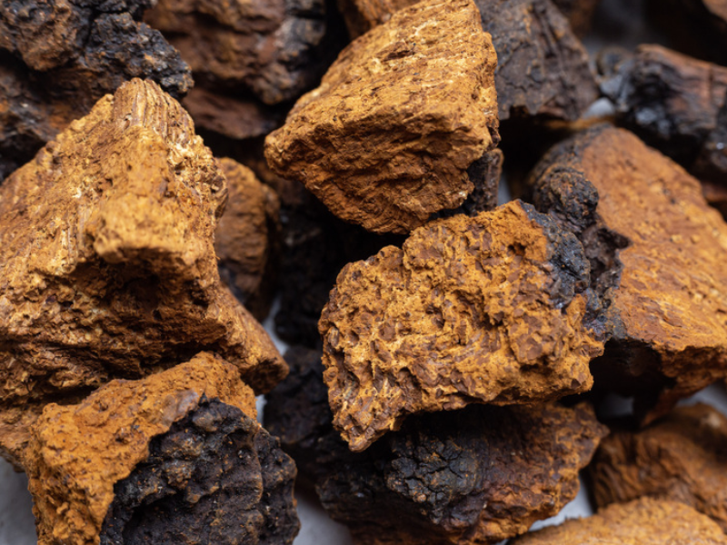 Millennial Magazine - Body - What is Chaga