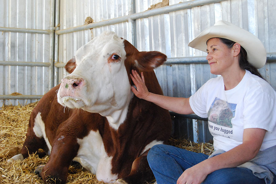 Millennial Magazine - Ellie and Buddha Gentle Barn