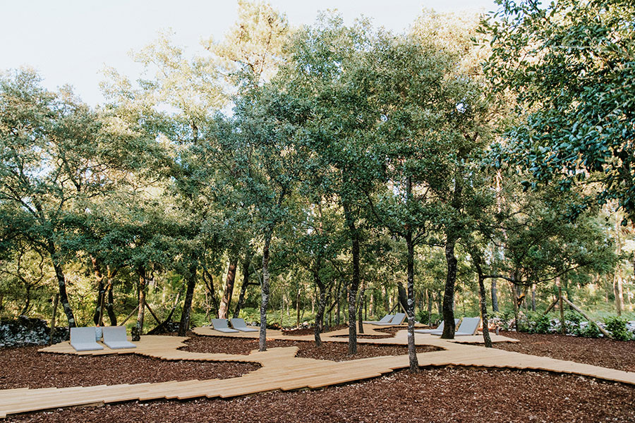 Millennial Magazine - Luz Charming Houses Tree Deck