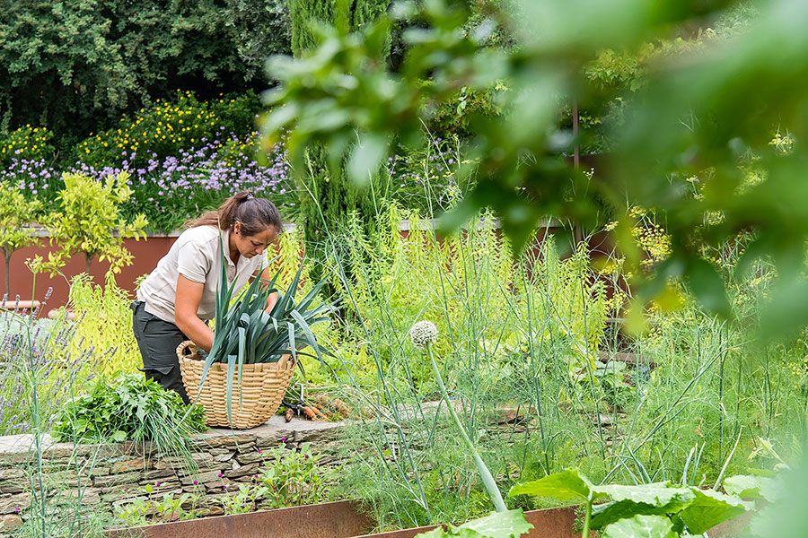 Millennial Magazine - Hotels - Six Senses Douro Valley Organic Garden