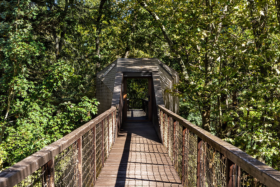 Millennial Magazine - Destinations - Pedras de Salgadas