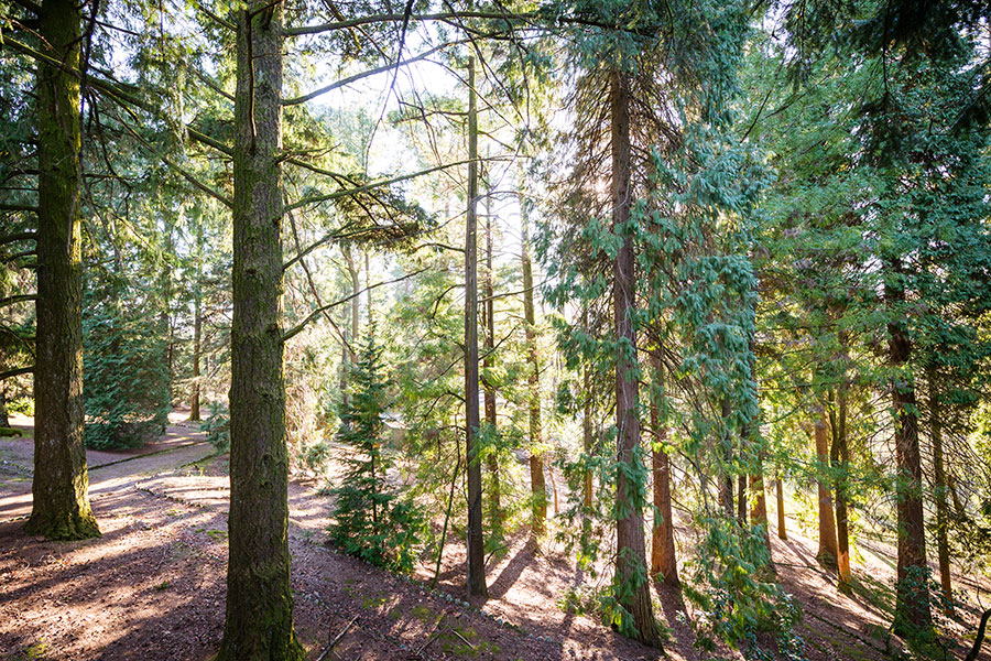 Millennial Magazine -Destinations - The Grove Houses