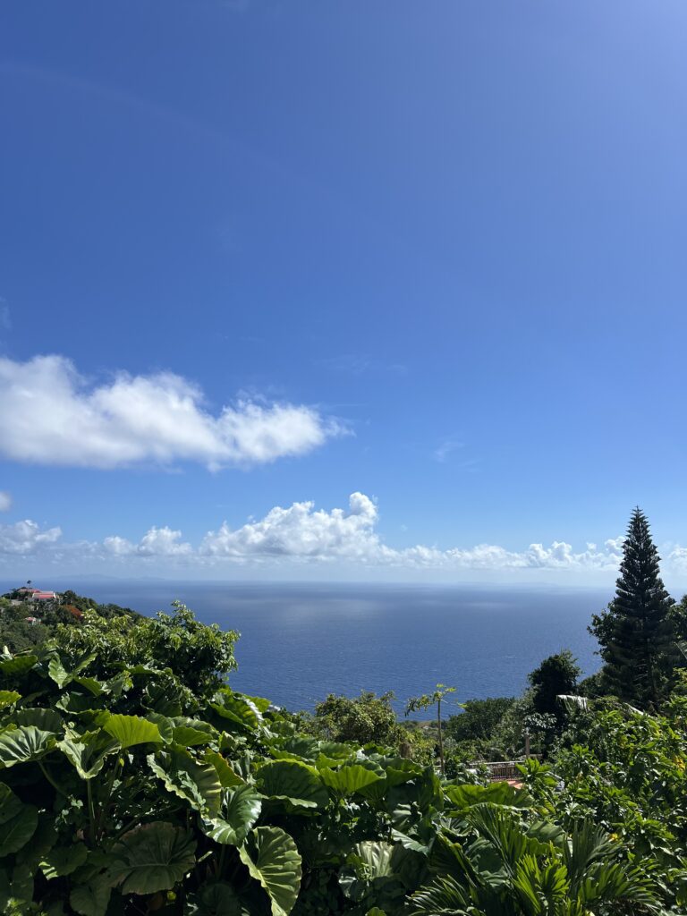 Saba environmental protection