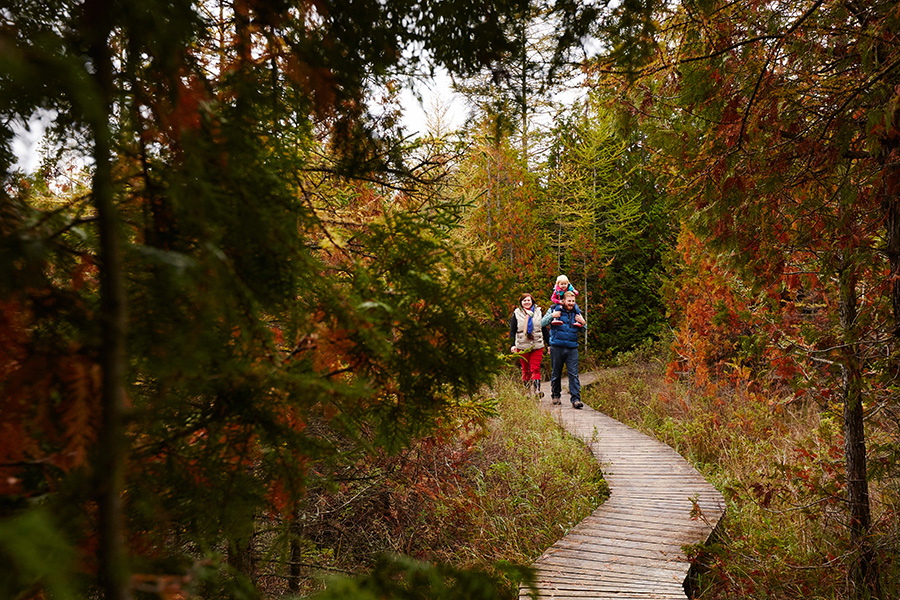 Millennial Magazine- Travel- destinations- Door County Fall Hike