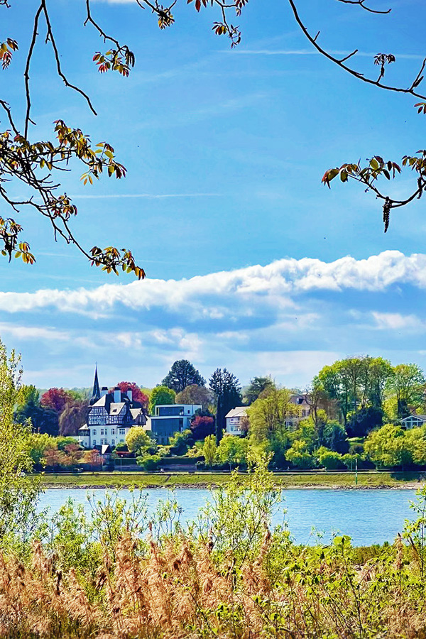 Millennial Magazine- Places- Luxury Escapes- View across the Rhine 2