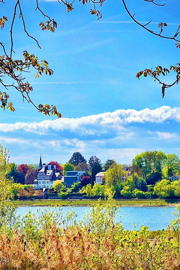 Millennial Magazine- Places- Luxury Escapes- View across the Rhine