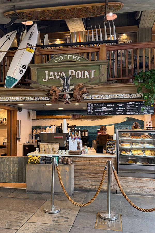Millennial Magazine - travel guides - Java Point