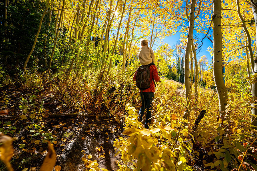 Millennial Magazine - travel guides - fall hike park city
